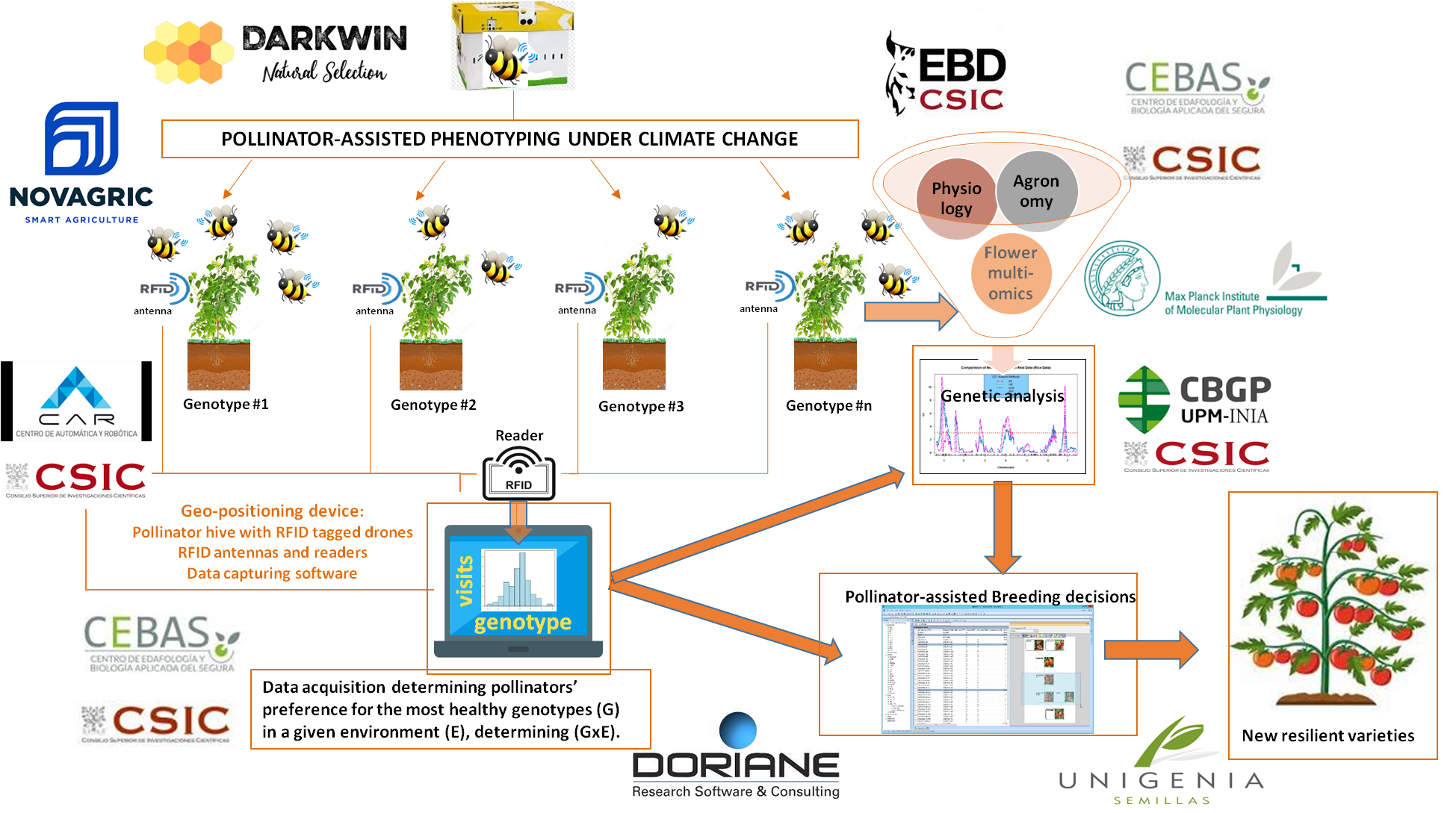 DARkWIN scheme