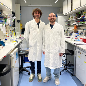 New collaboration between CEBAS-CSIC and MPIMP thanks to DARkWIN