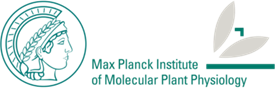 MPIMP logo