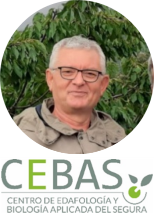 CEBAS logo